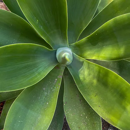 Hotel A'mare Corsica I Seaside Small 4*