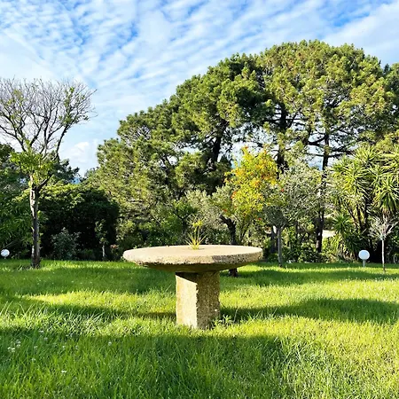 Hotell A'mare Corsica I Seaside Small 4*