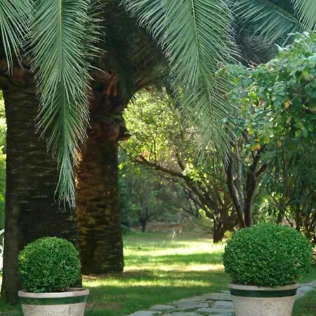 Hotel A'mare Corsica I Seaside Small