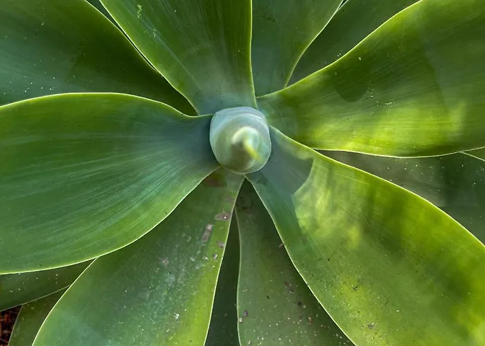 מלון A'mare Corsica I Seaside Small 4*